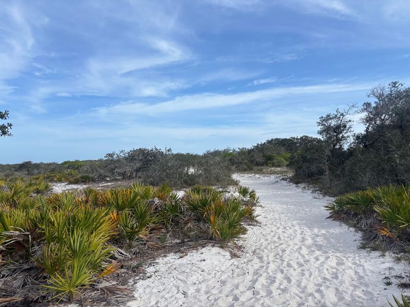 Pine Beach Trail, Bon Secour National Wildlife Refuge