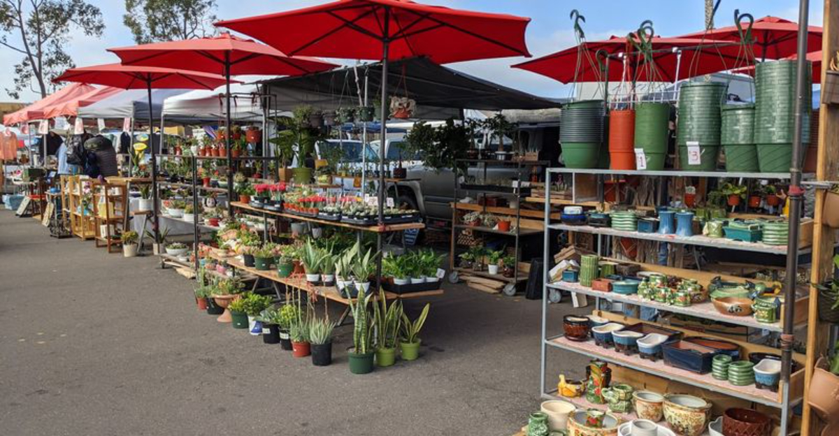 9 Massive Flea Markets In California Where 40 Goes A Surprisingly Long Way - Decor Hint