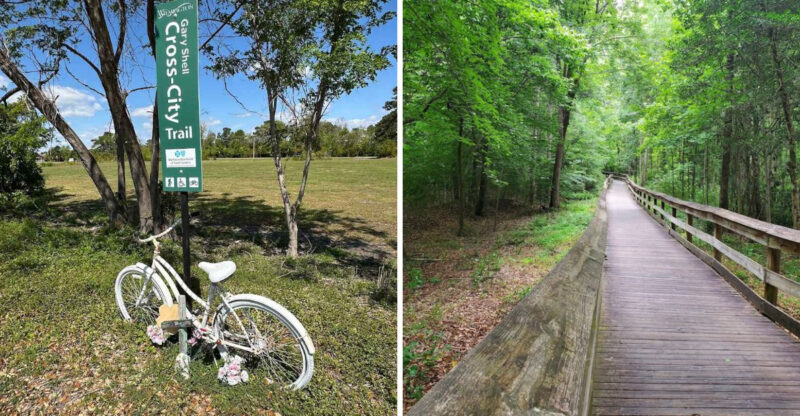 9 Southern North Carolina Bike Trails That Feel Like A Secret Getaway In 2026