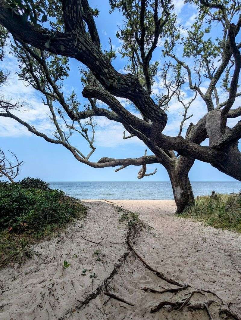 A One-Mile Ocracoke Walk That Ends At The Water
