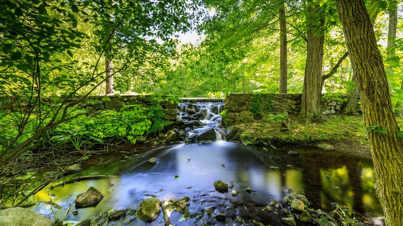 A Peaceful Stop For Nature Lovers