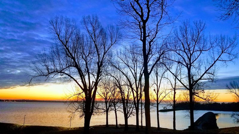 Waterfront Views That Make Every Meal Feel Special
