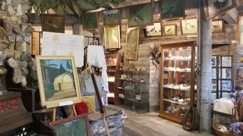The Story Behind The Studio