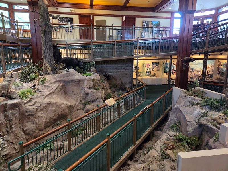 The Visitor Center And Interactive Education Exhibits