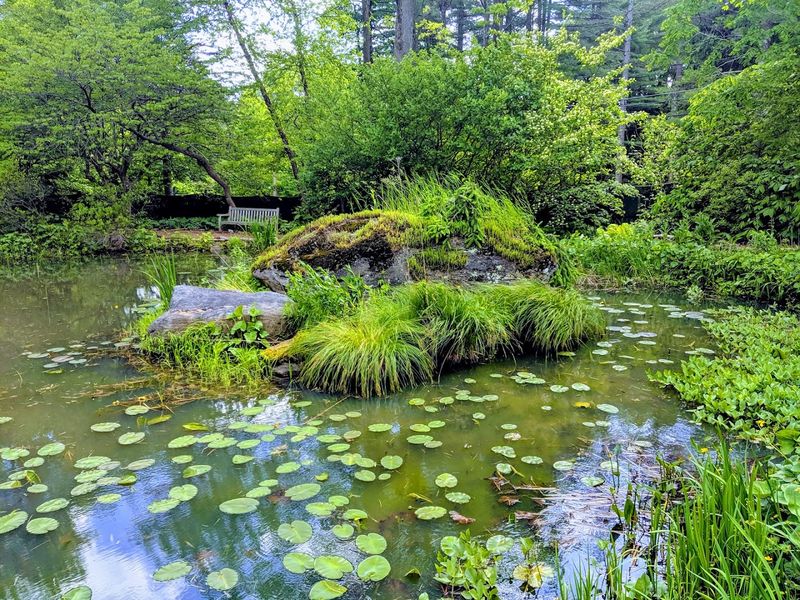 You Could Easily Spend An Entire Day Wandering This Beautiful Massachusetts Garden - Decor Hint The Pond And Water Features Are Quietly Spectacular