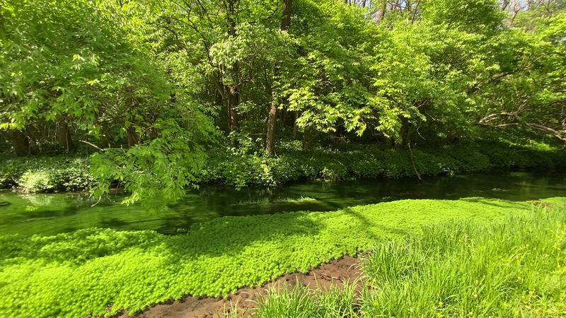 Seasonal Beauty That Changes With Every Visit