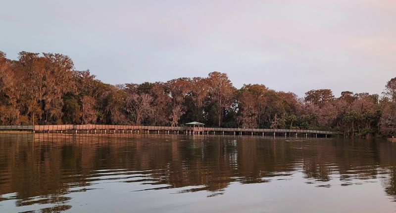 This Charming Florida Town Makes It Easy To Slow Down For A While - Decor Hint Lake Dora And The Water That Ties It All Together