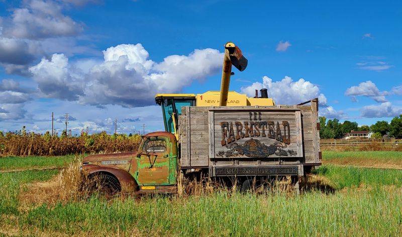 Hayrides Through The Countryside