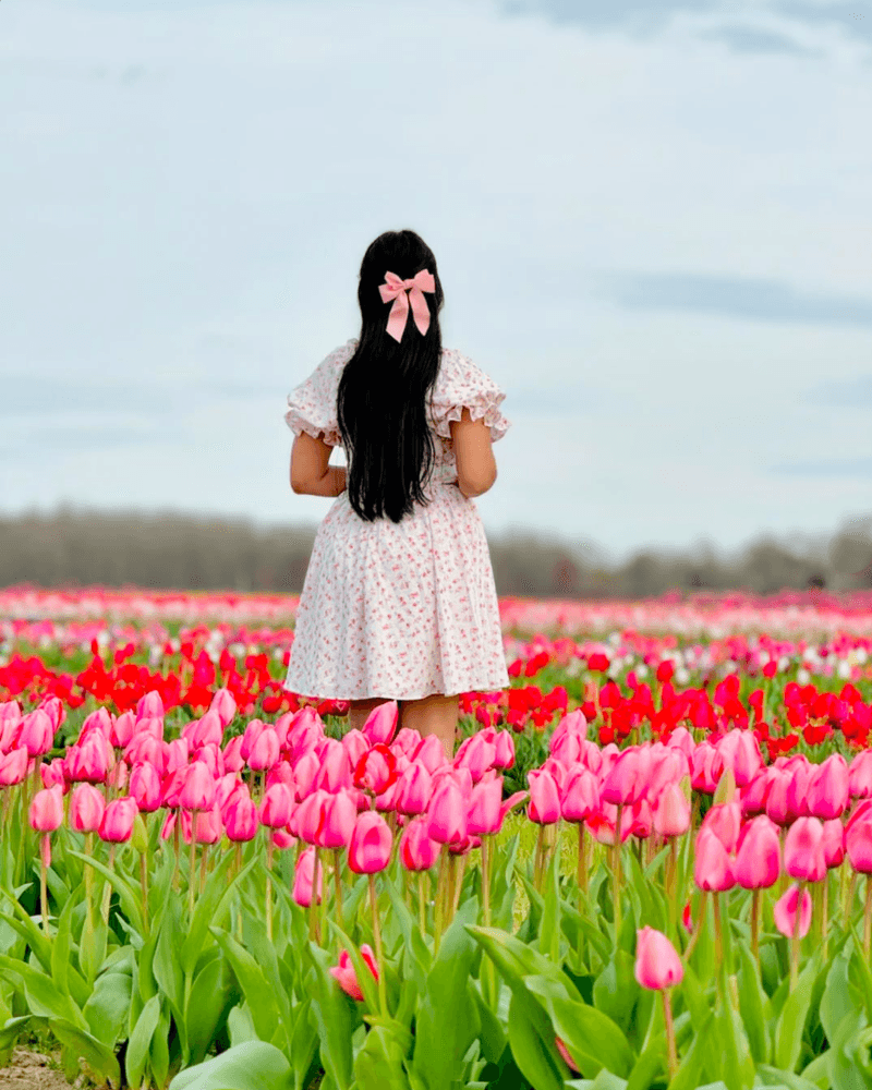 Fields That Change With Every Season