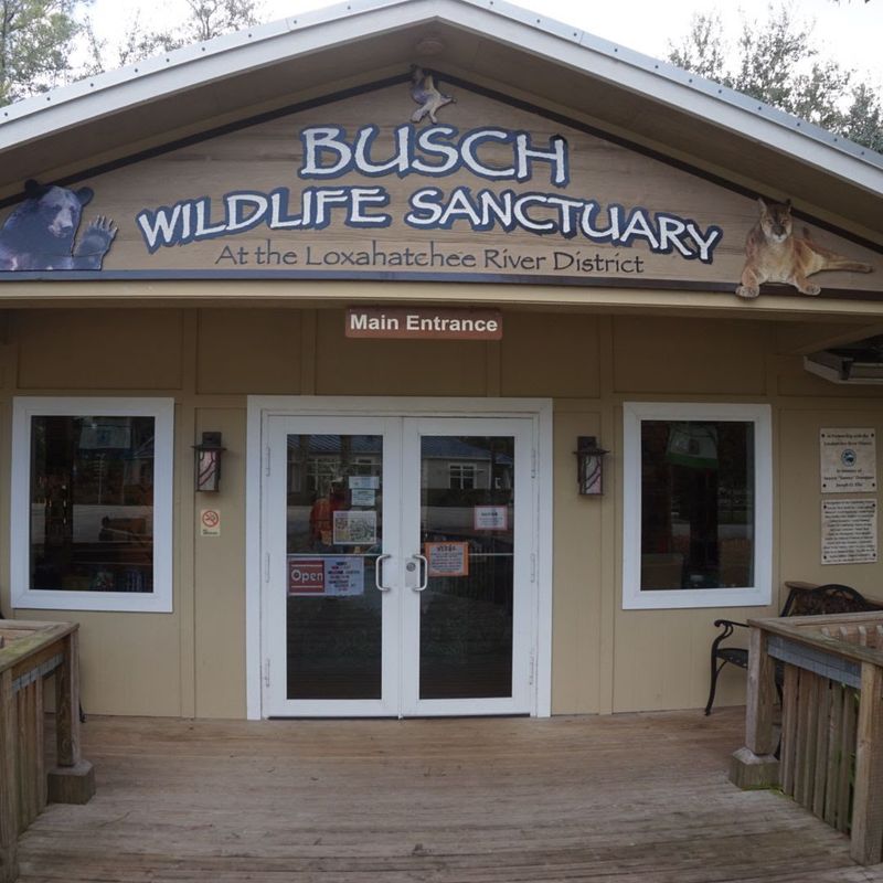 A Florida Animal Sanctuary Treats More Than 4,500 Injured Creatures Each Year And Visitors Are Welcome - Decor Hint A Wildlife Rehabilitation Center Unlike Any Other