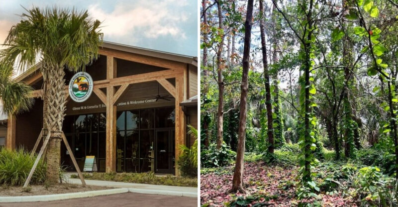 A Florida Animal Sanctuary Treats More Than 4,500 Injured Creatures Each Year And Visitors Are Welcome