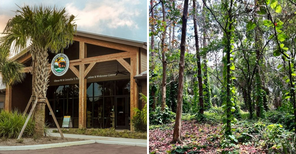A Florida Animal Sanctuary Treats More Than 4500 Injured Creatures Each Year And Visitors Are Welcome - Decor Hint