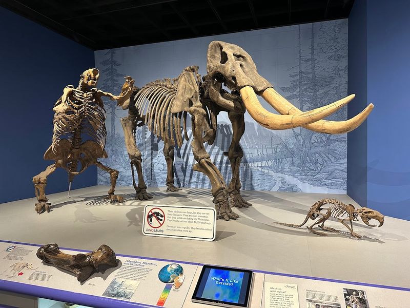 The Geology And Natural History Galleries