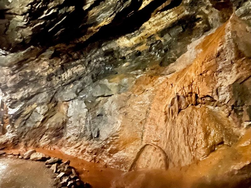 Gold Panning Included With Every Tour Ticket