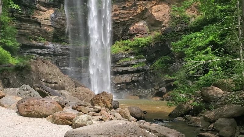 The Peaceful Atmosphere That Visitors Keep Raving About