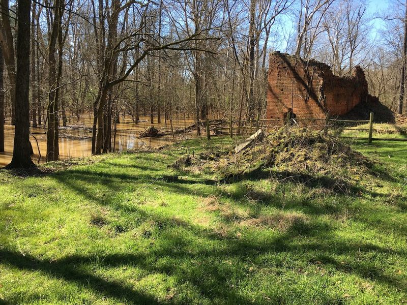 Peaceful Picnic Spots Surrounded By Nature