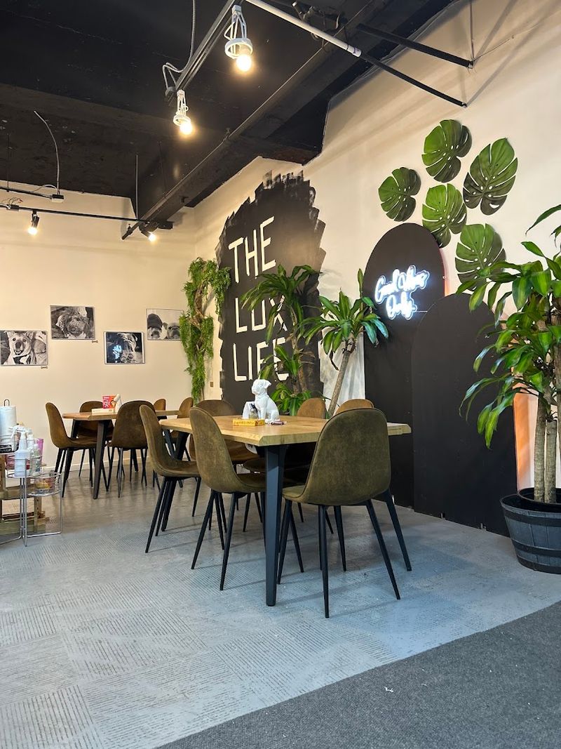 Supporting a Local Business With Real Community Impact