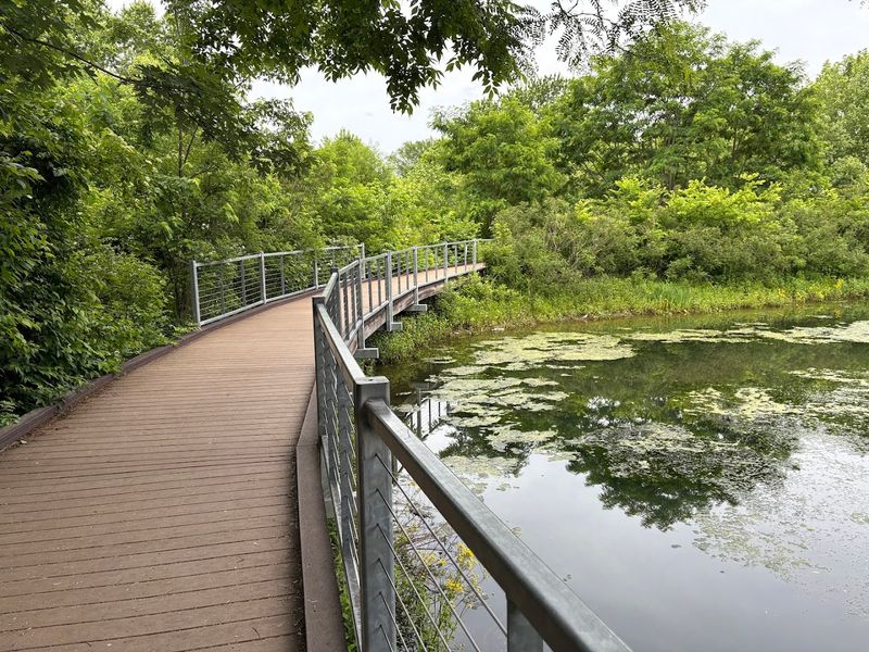 Easy Walking Trails Perfect For All Ages And Fitness Levels