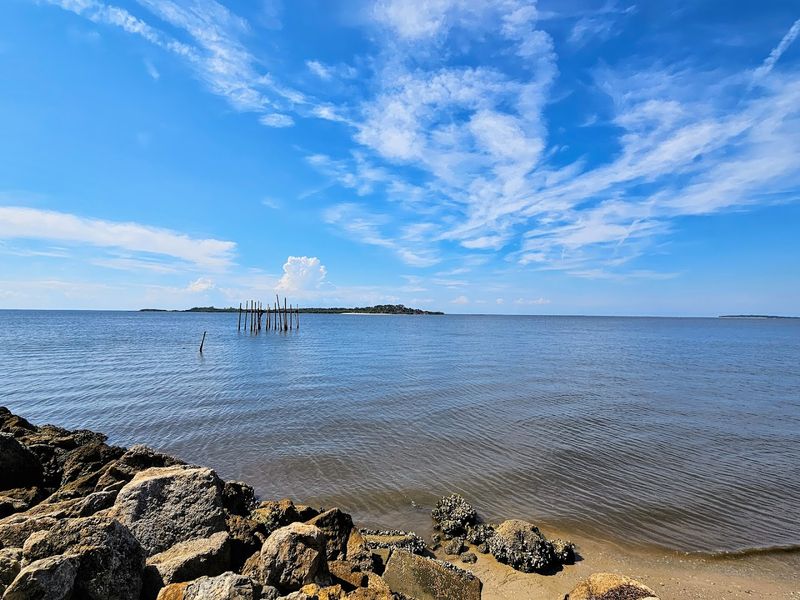 Exploring The Island Where Cedar Key First Began