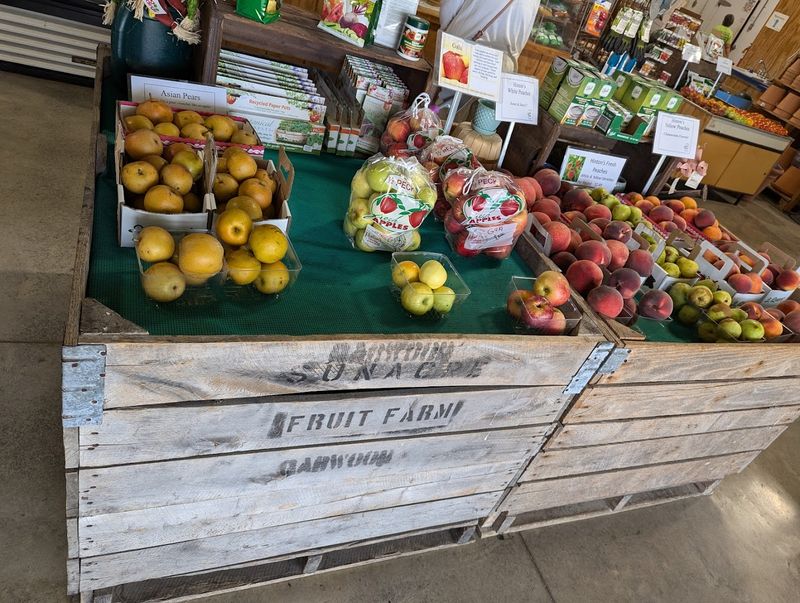 Incredible Peaches That Practically Taste Like Summer