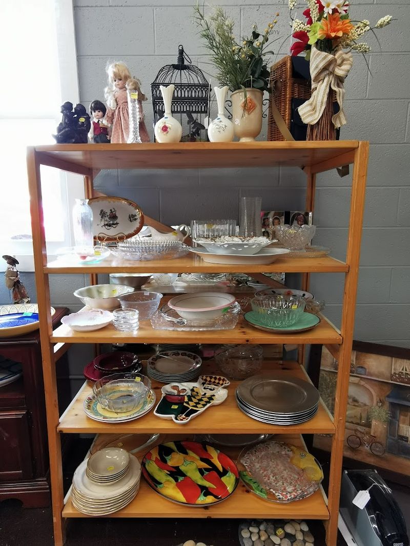 Shelves That Reward Slow Browsing