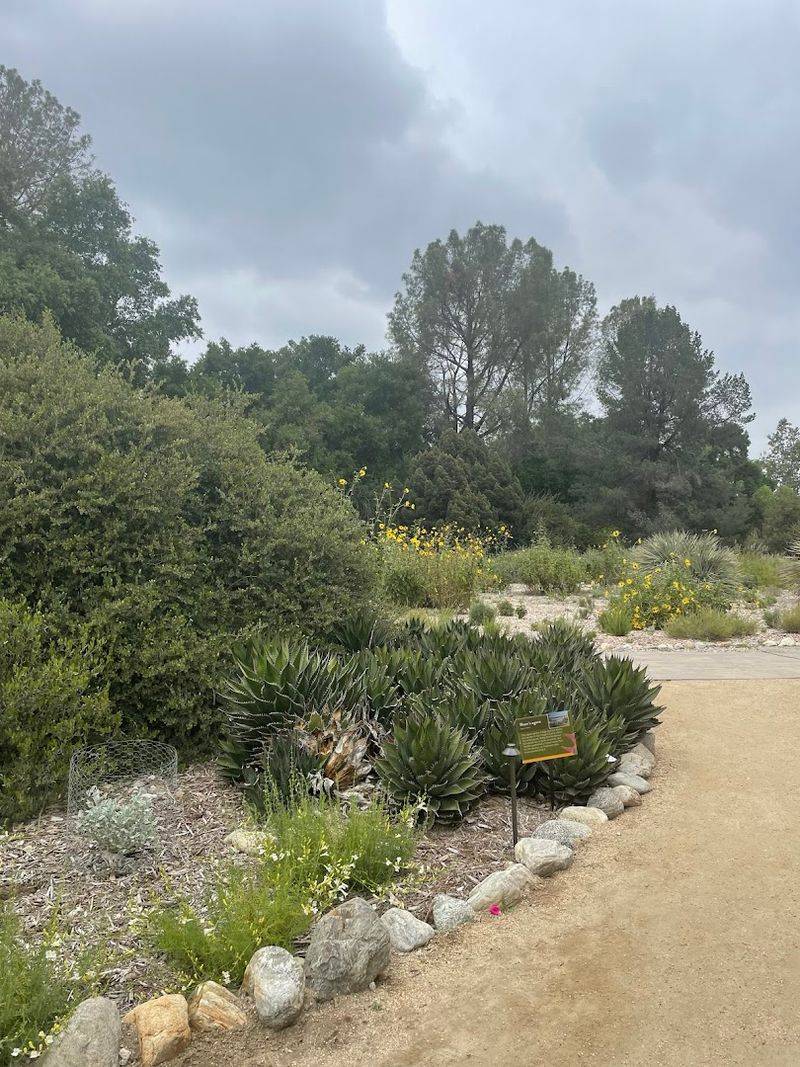 The Trails and How the Garden Actually Feels to Walk