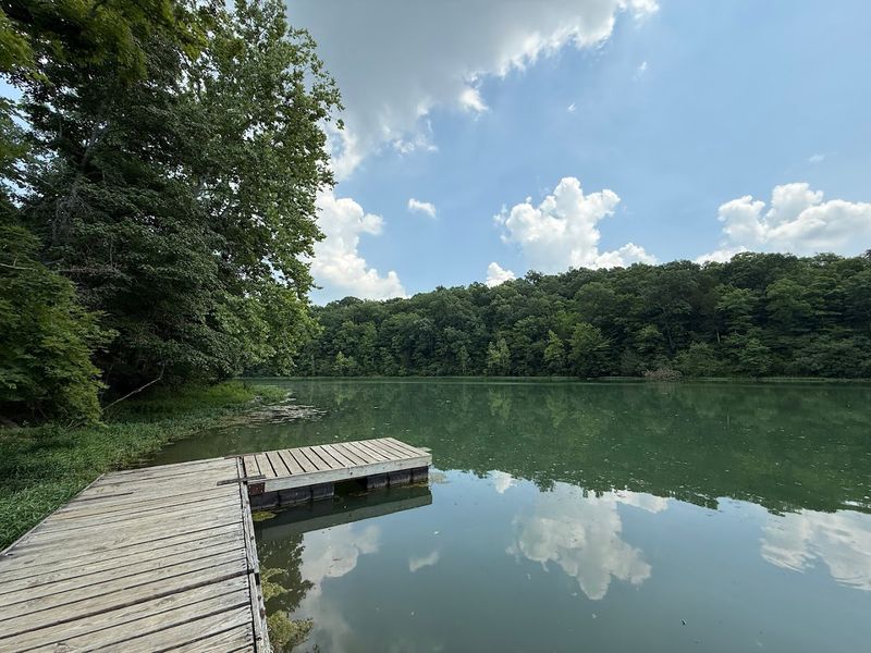 The Mill Pond And Its Reflections