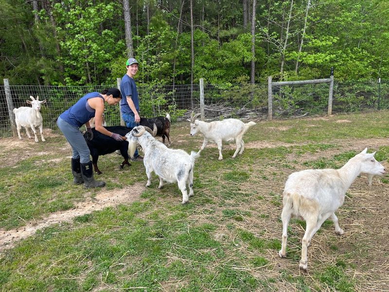 Family-Friendly Tours With A Gentle Pace