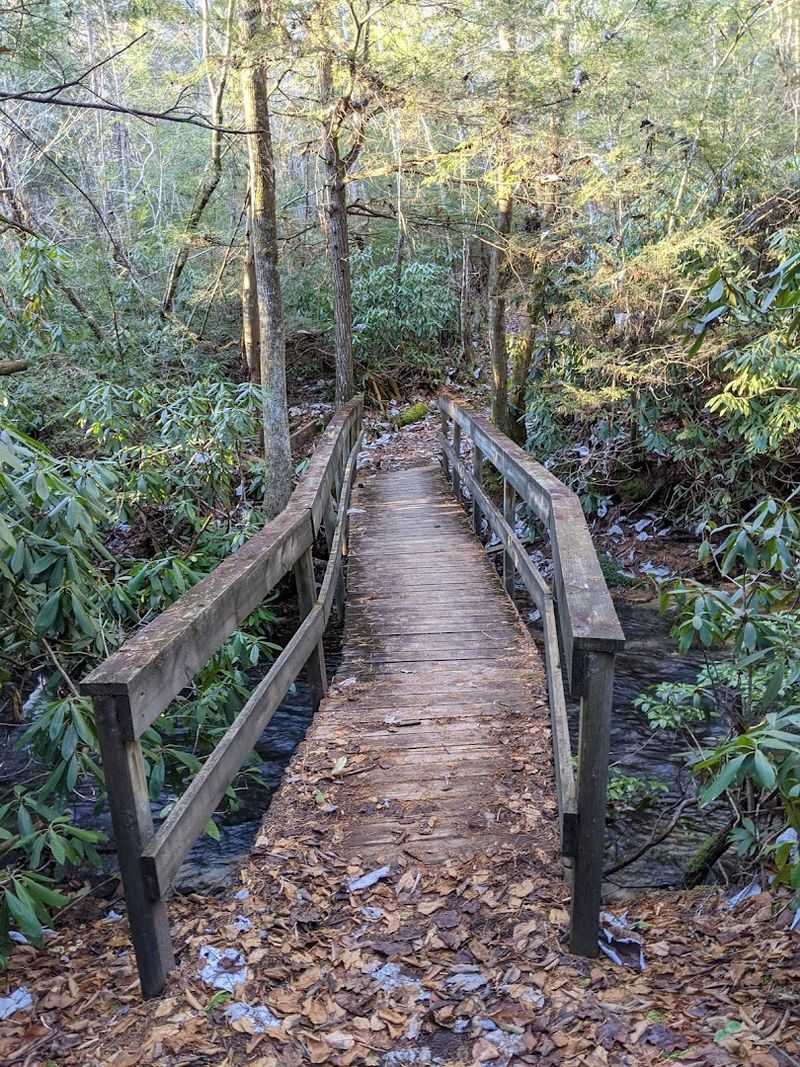 This Tennessee State Park Quietly Delivers One Of The Most Memorable Experiences Around - Decor Hint Trails That Reward Every Step