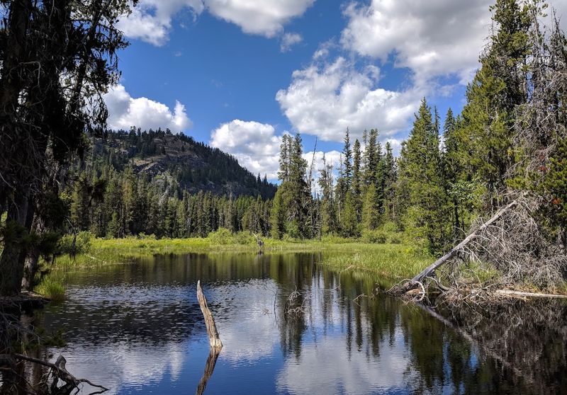 Floating Through Idaho’s Upper North Fork Meanders