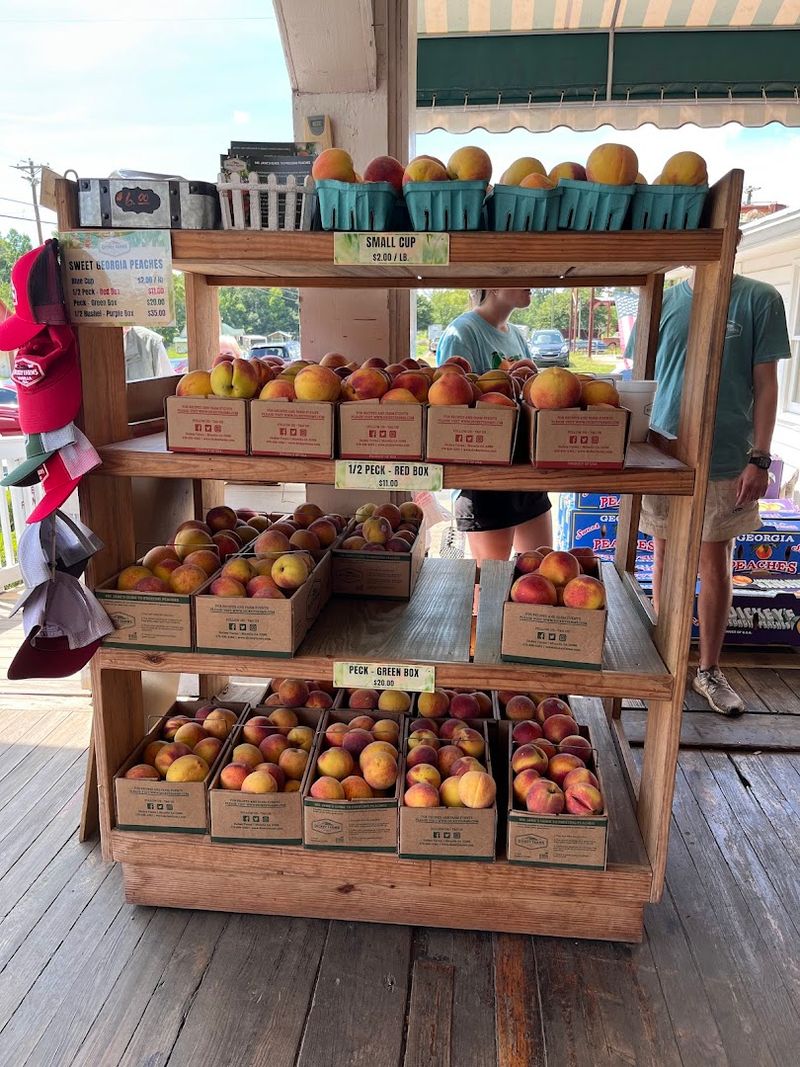 Freshly Grown Peaches Straight From The Orchard