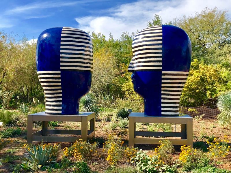 The Desert Discovery Trail For Kids Who Think They Don't Like Nature