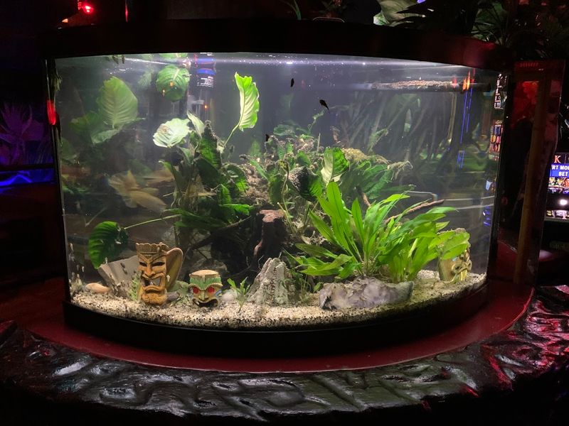 The Tiki Decor That Delivers 