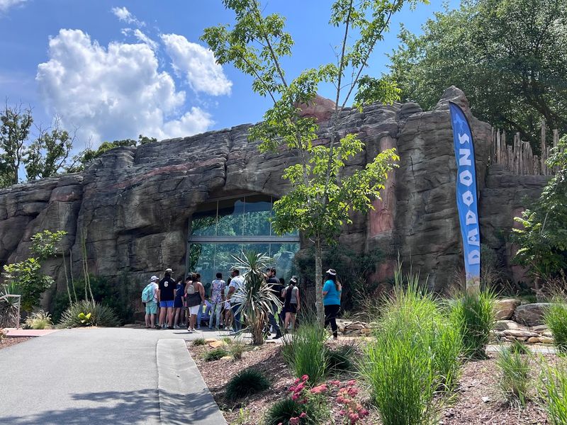 Over 1,700 Animals Calling This Place Home