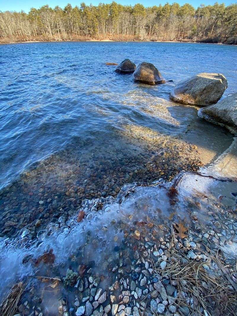 Why Freshwater Swimming Beats The Ocean Sometimes