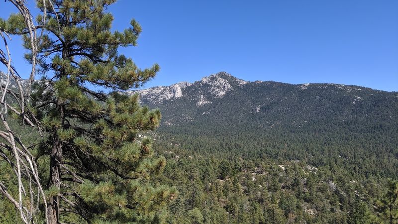 A Palm Springs Plan That Ends Up In Idyllwild