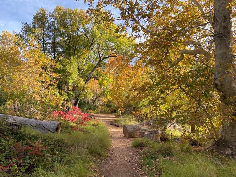 This Easy Arizona Trail Leads To A Stunning Waterfall That Feels Almost Unreal - Decor Hint Why Being In The Middle Of Everything Works