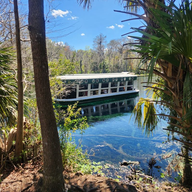 Glass-Bottom Boats, A Timeless Florida Tradition