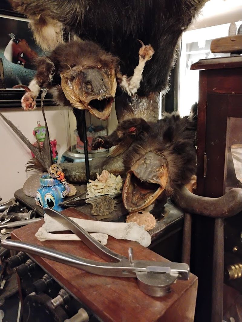 One Of The Manor’s Most Unusual Displays