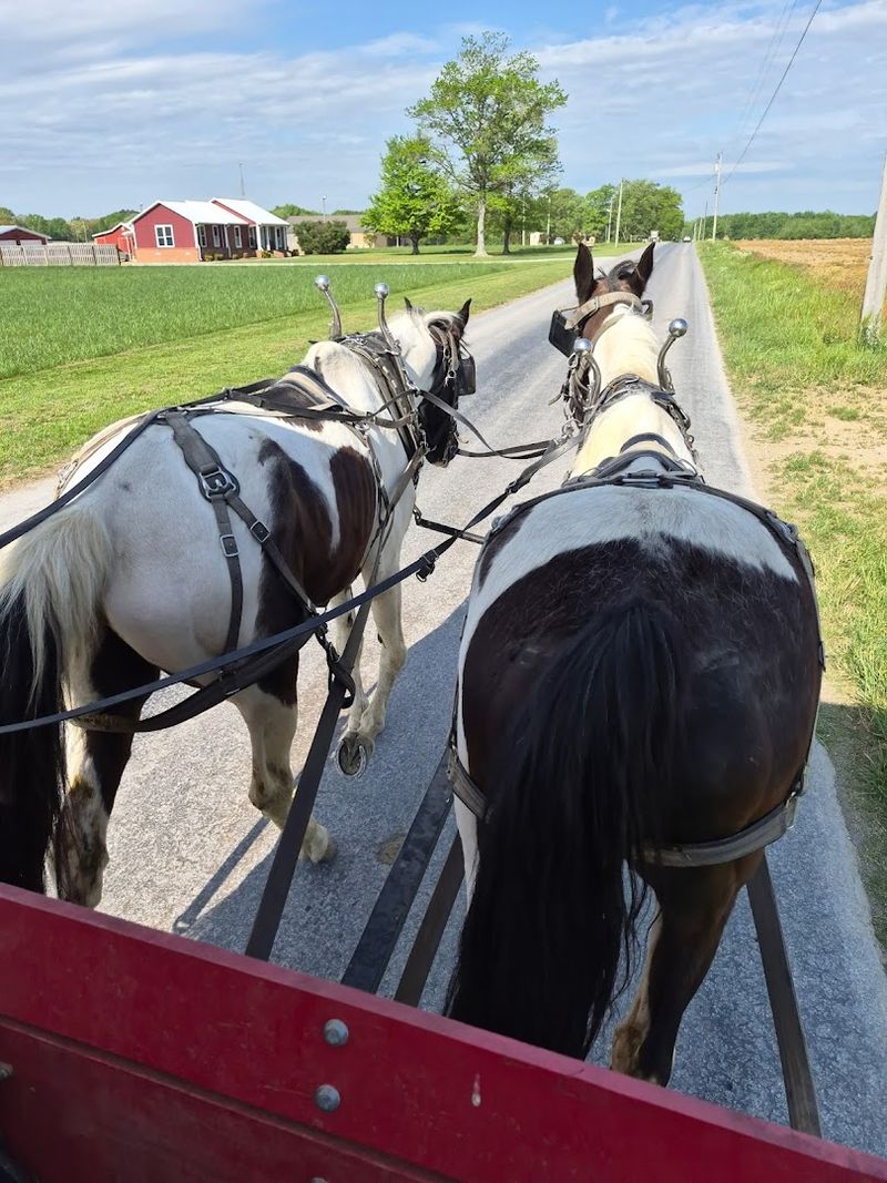 The Amish Heritage Here
