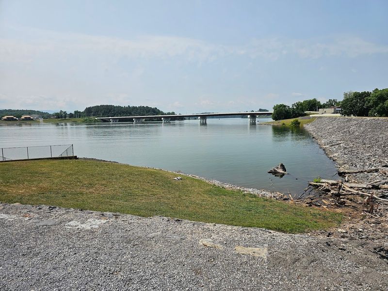 Douglas Lake Sets The Scene
