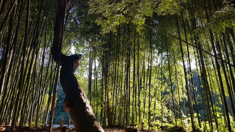 Year-Round Hiking With Seasonal Beauty