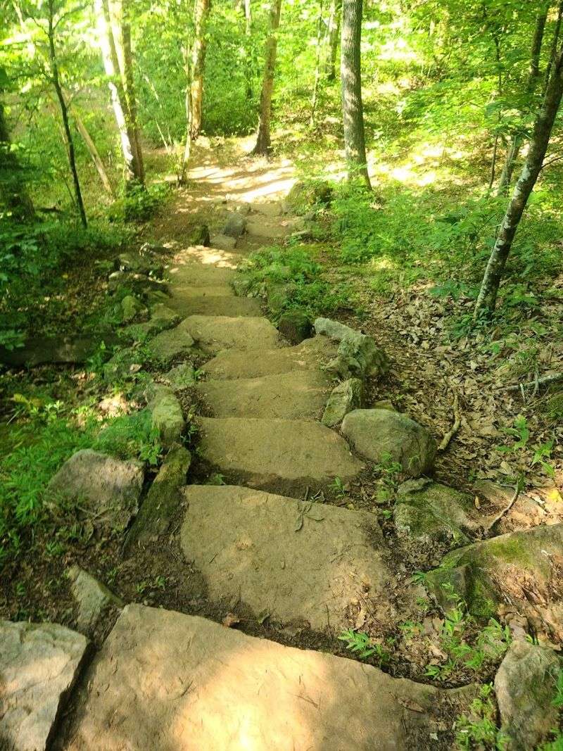 Wooded Trails For Every Skill Level