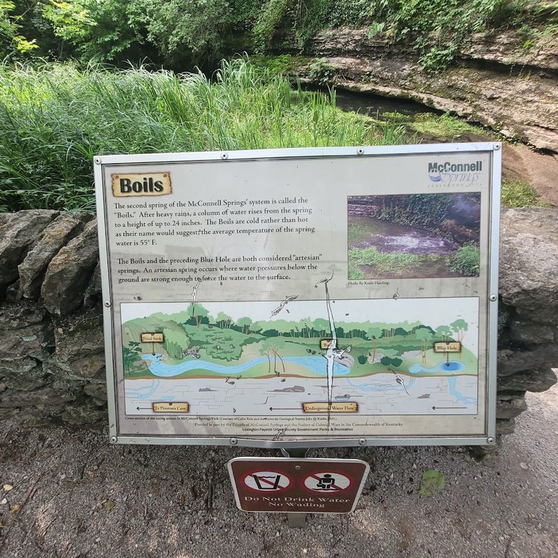 Interpretive Signs That Turn A Walk Into A Learning Experience
