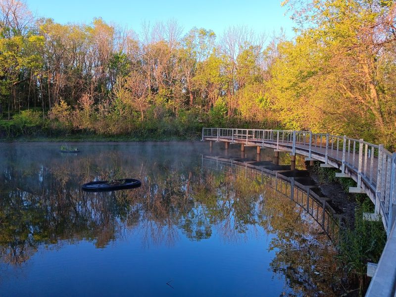 The Turtle Pond That Delights Every Single Visitor
