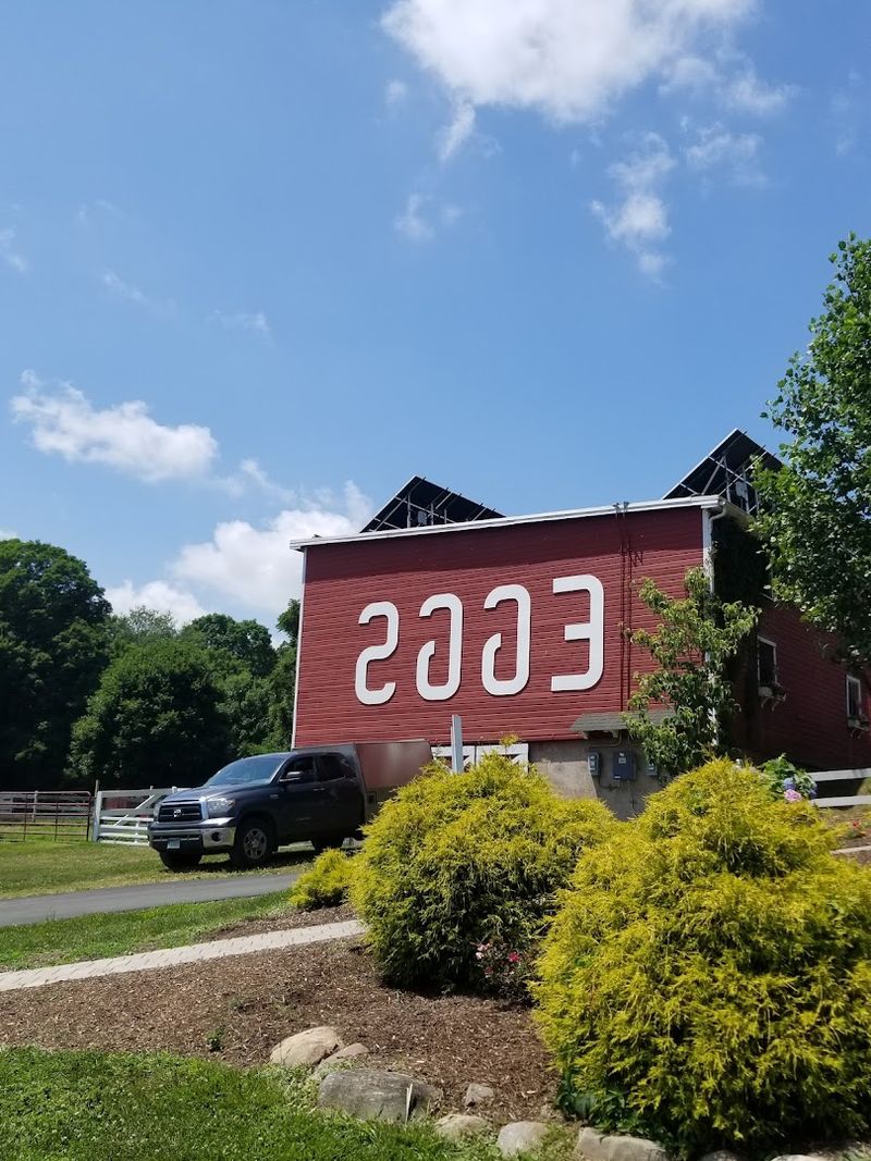 The Easy Charm Of A Real Working Farm