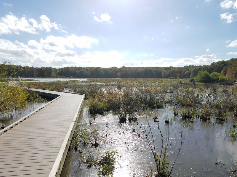 The Boardwalk That Changes Everything