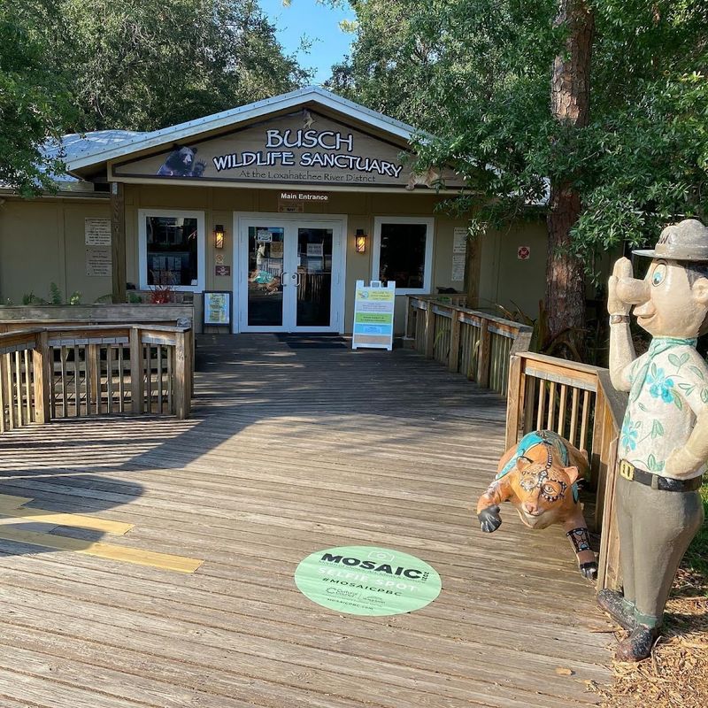 A Florida Animal Sanctuary Treats More Than 4,500 Injured Creatures Each Year And Visitors Are Welcome - Decor Hint Admission By Donation Makes It Accessible For Everyone