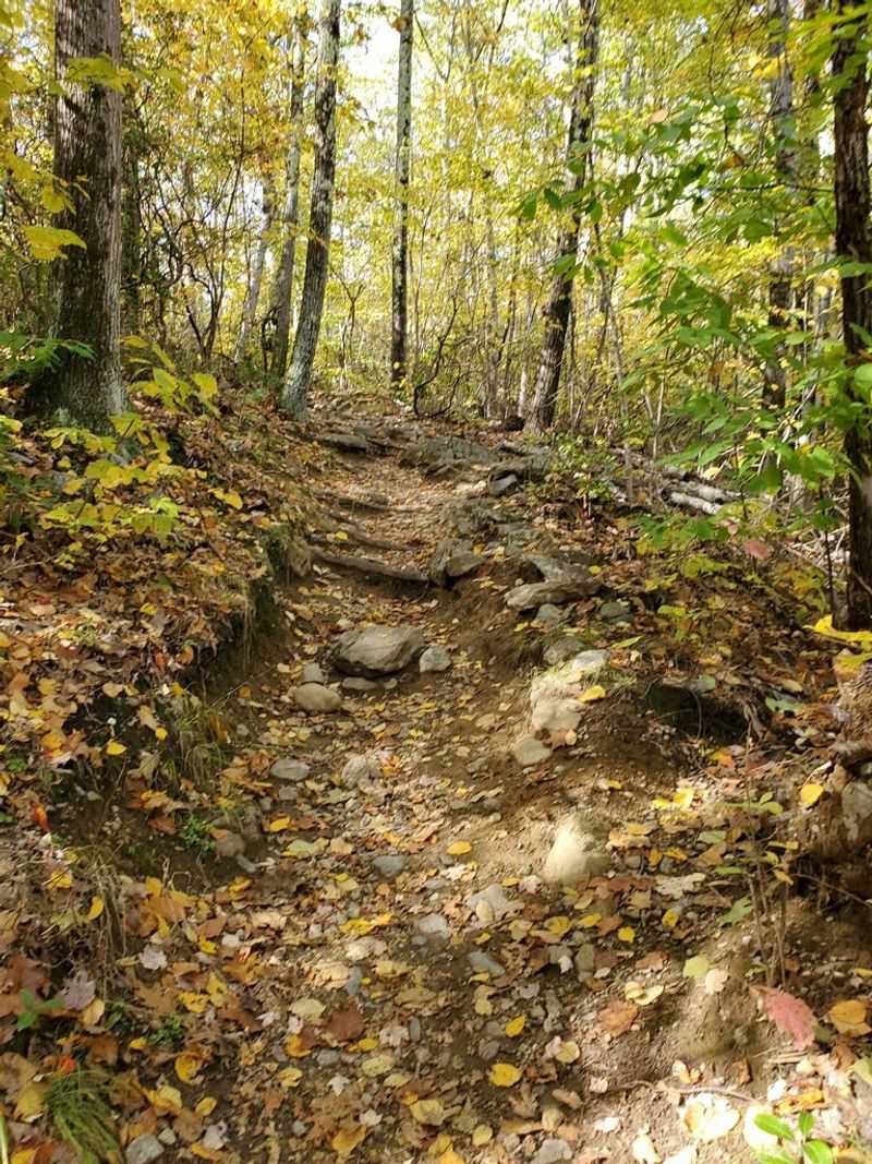 Quiet Trails That Feel Off The Beaten Path