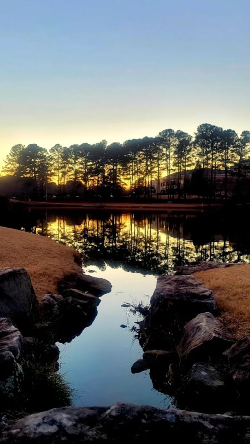 This Georgia City Was Named The Best Place To Retire In The Golden State - Decor Hint Rich Cultural Diversity and Inclusive Atmosphere
